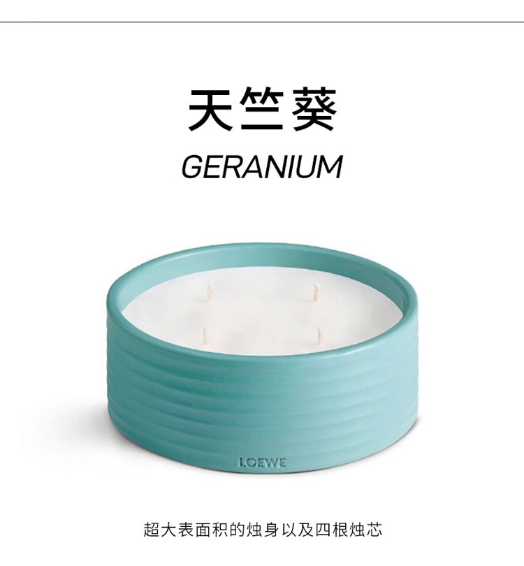 商品Loewe|罗意威户外蜡烛系列香薰蜡烛750g,价格¥1853,第7张图片详细描述
