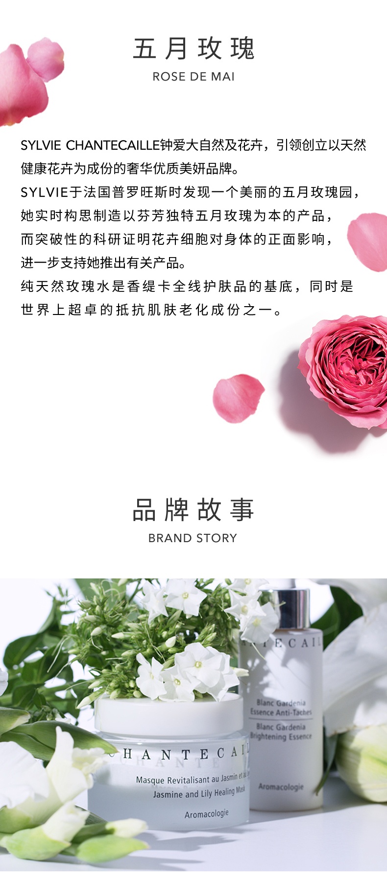 商品Chantecaille|香缇卡 升级版钻石面膜 50ml 涂抹面膜提拉紧致抗皱保湿,价格¥1165,第7张图片详细描述