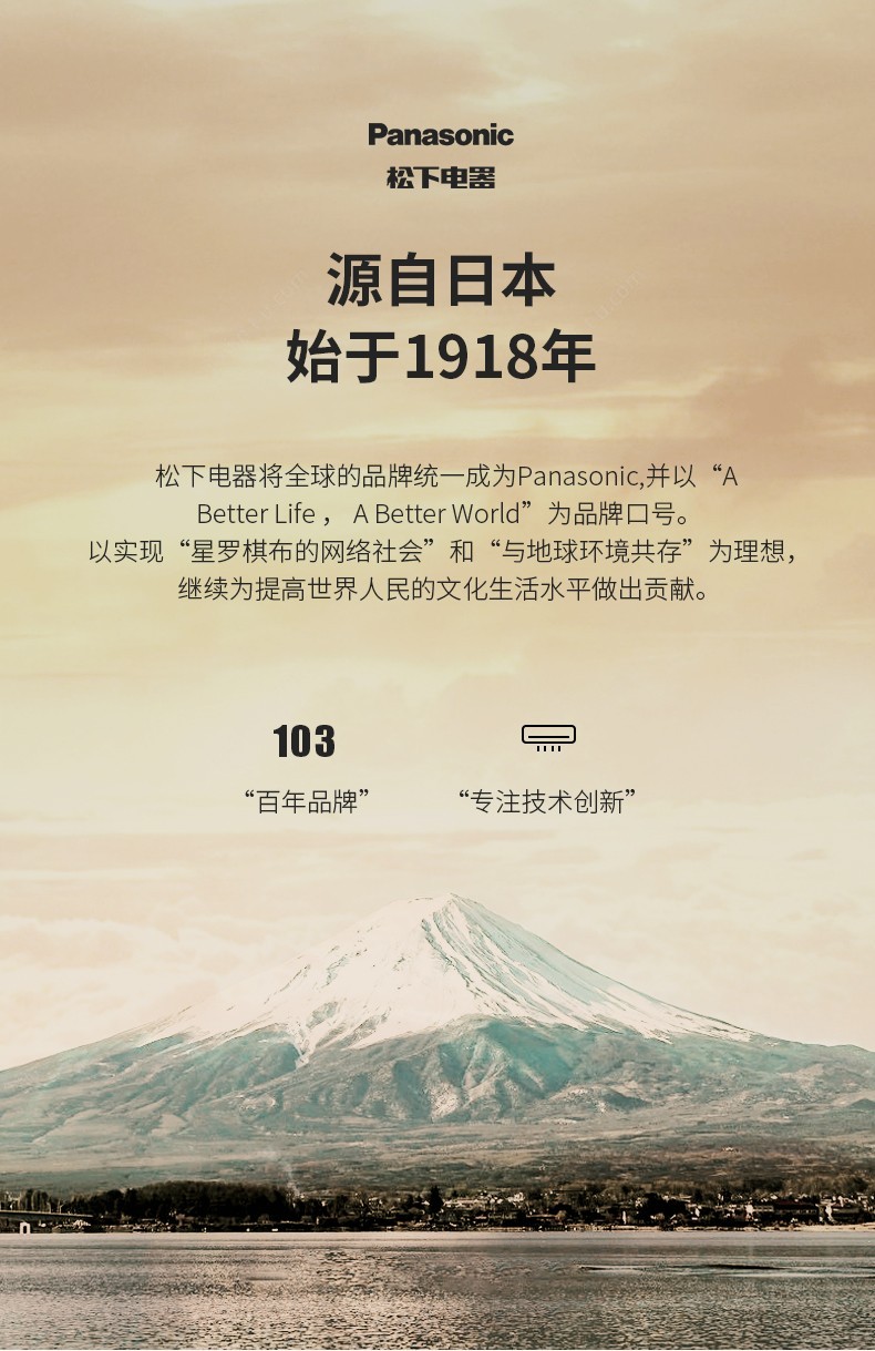 商品[国内直发] Panasonic|松下踢脚线取暖器石墨烯家用暖风机浴室防水炭火电暖气DS-A2142CG,价格¥1659,第2张图片详细描述