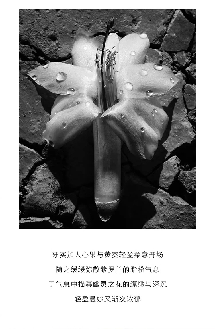 商品BYREDO|柏芮朵限量版莫哈维之影香水无酒精版 100ml 木质调,价格¥1333,第6张图片详细描述