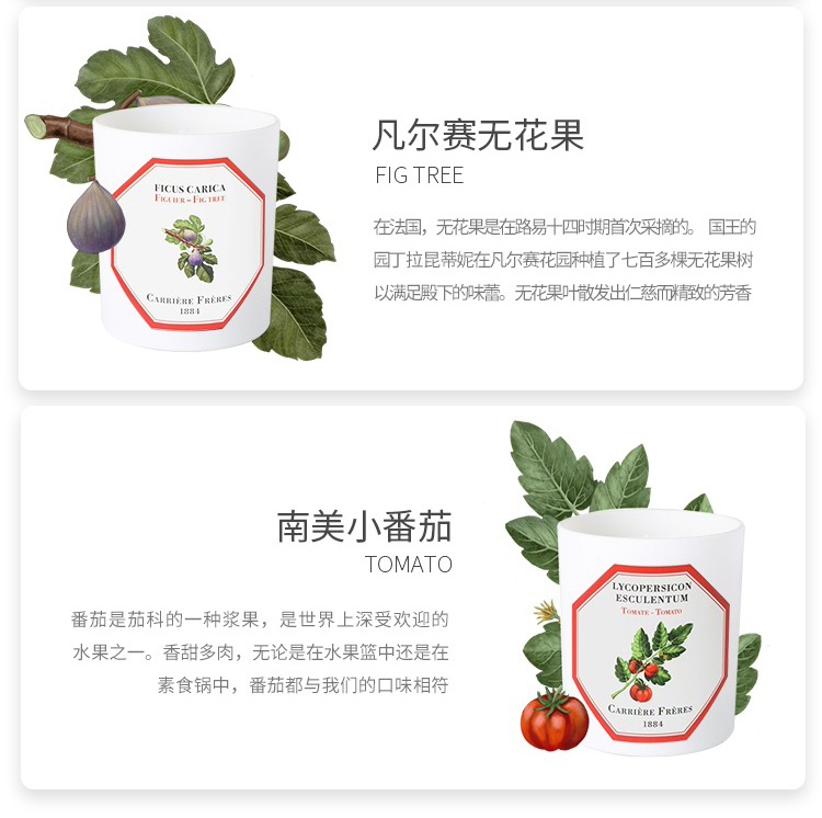 商品Carriere Freres|Carriere Freres法国植物学家全系列香薰蜡烛185g,价格¥373,第12张图片详细描述