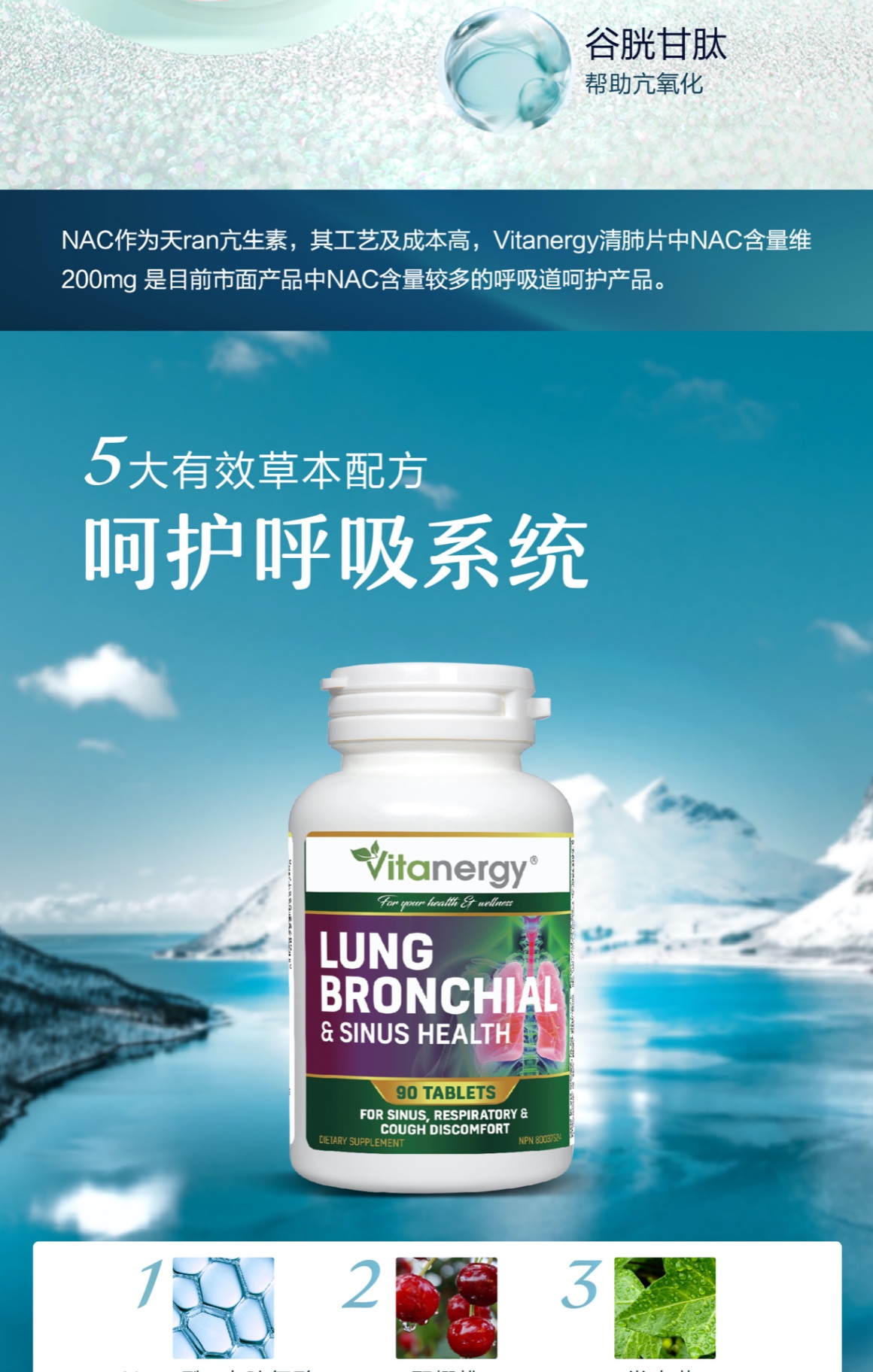 商品[国内直发] Vitanergy|【2025年1月到期】加拿大Vitanergy维生能清肺片 清肺止咳 化痰疏通 缓解呼吸道肺部问题 90粒 | Lung Support,价格¥59,第6张图片详细描述