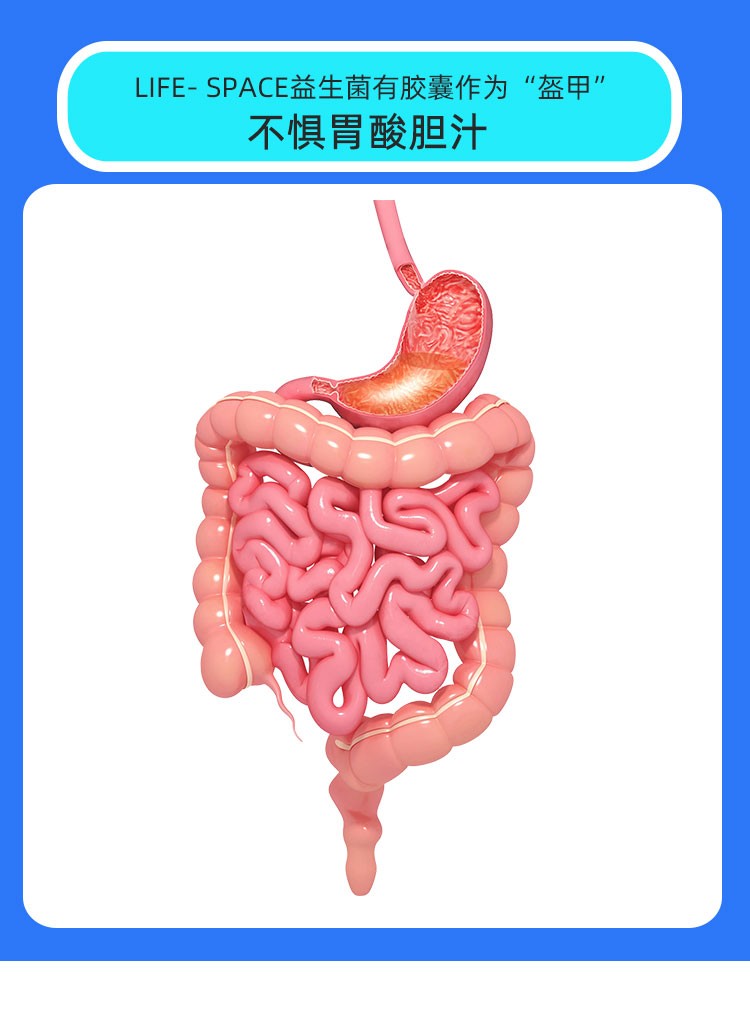 商品[国内直发] Life Space|澳洲Life Space成人益生菌胶囊 Probiotic益生元大人调理肠胃肠道  60粒,价格¥246,第5张图片详细描述
