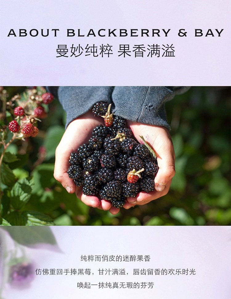商品Jo Malone London|Jo Malone祖玛珑黑莓与月桂叶润肤乳液250ml,价格¥383,第3张图片详细描述