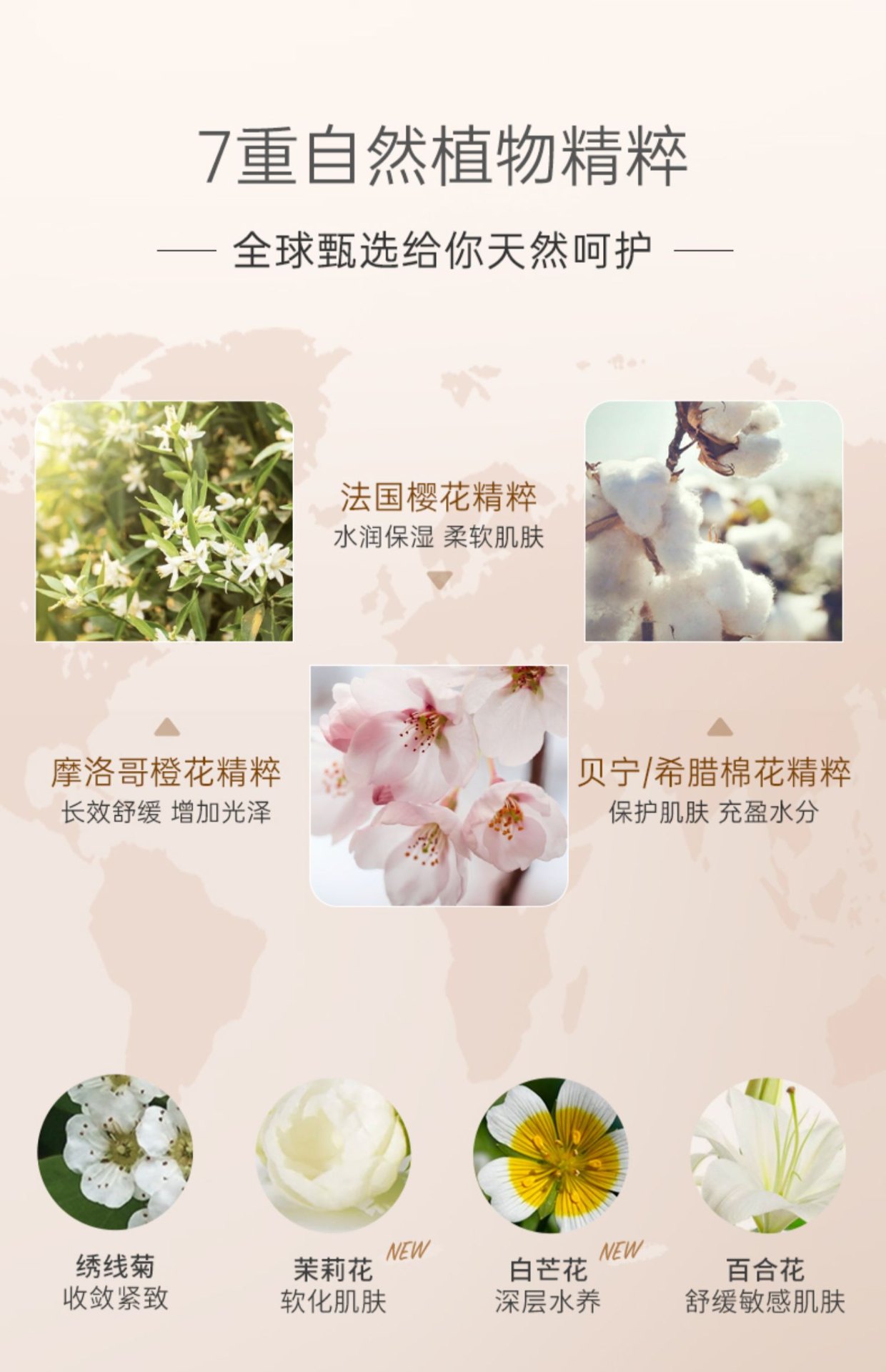 商品[国内直发] Bonpoint|Bonpoint小樱桃高保湿面霜润肤霜 50ml 长效补水滋润保湿,价格¥424,第5张图片详细描述