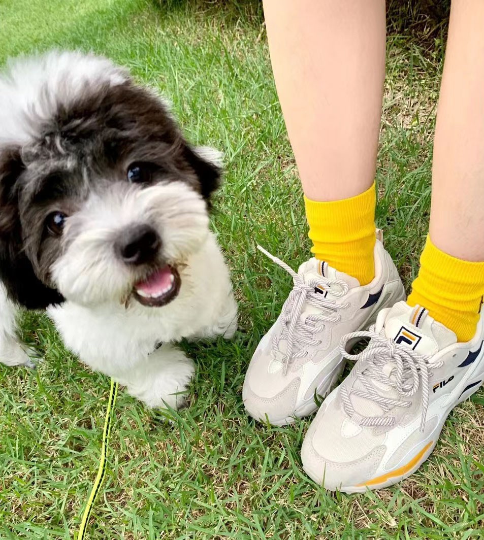 商品Fila|【享贝家】FILA 斐乐 黄泫雅Tracer系列复古跑鞋 男女同款 1RM01153D444,价格¥280,第6张图片详细描述