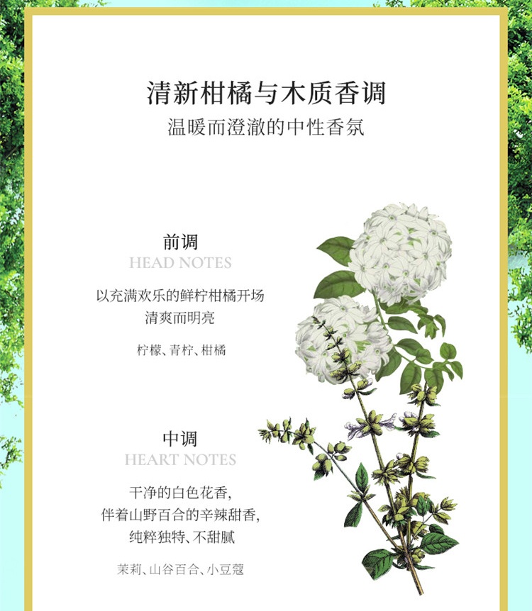 商品Penhaligon's|Penhaligon's潘海利根 皇家橡树古龙水「英式风尚」 50mL/100mL 100mL,价格¥967,第4张图片详细描述