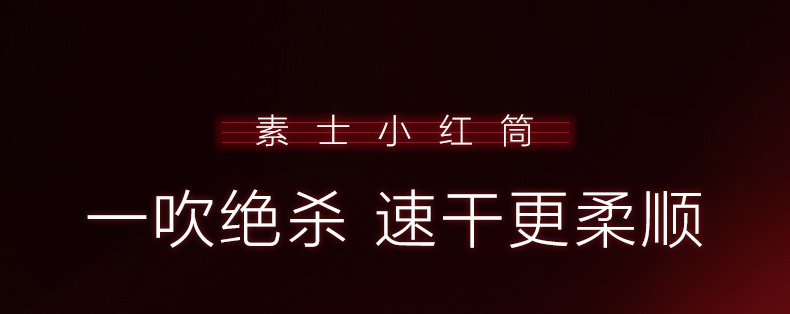 商品[国内直发] Soocas|素士负离子速干电吹风 H5 标准版,价格¥234,第1张图片详细描述