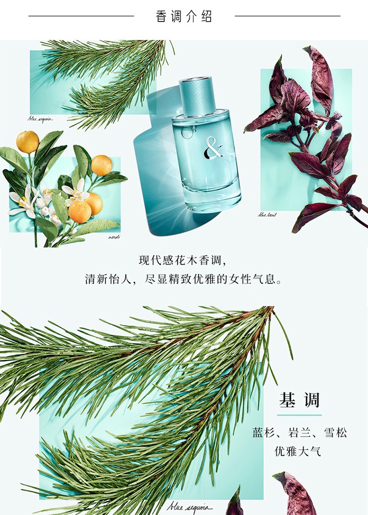 商品Tiffany & Co.|Tiffany & Co挚爱女士香水50-90ml EDP浓香水 ,价格¥656,第11张图片详细描述
