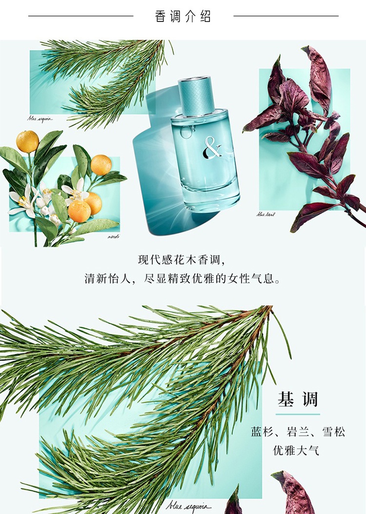商品Tiffany & Co.|Tiffany & Co挚爱女士香水50-90ml EDP浓香水 ,价格¥532,第13张图片详细描述