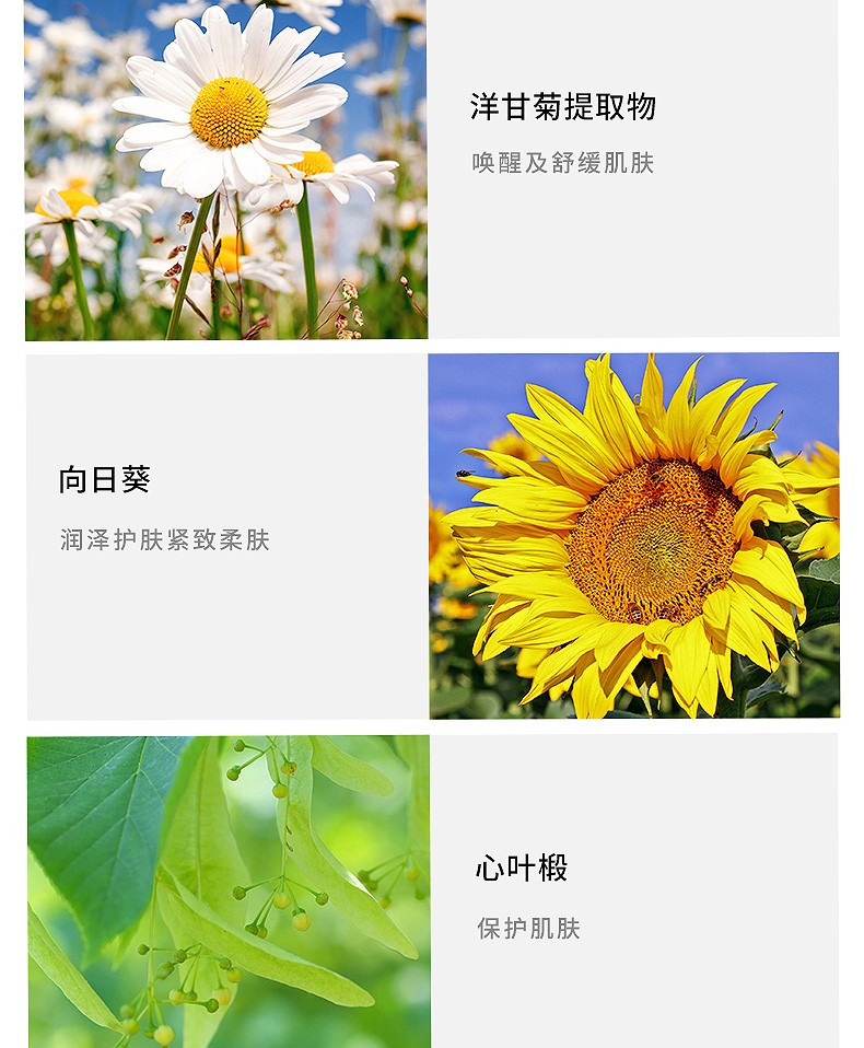 商品Clarins|CLARINS/娇韵诗 温和爽肤水黄水 中/干性肤质 200ML｜包邮 【香港直发】,价格¥198,第6张图片详细描述