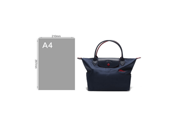 商品Longchamp|珑骧女士织物小号短柄可折叠手提包饺子包70周年款L1621 619（香港仓发货）,价格¥658,第19张图片详细描述
