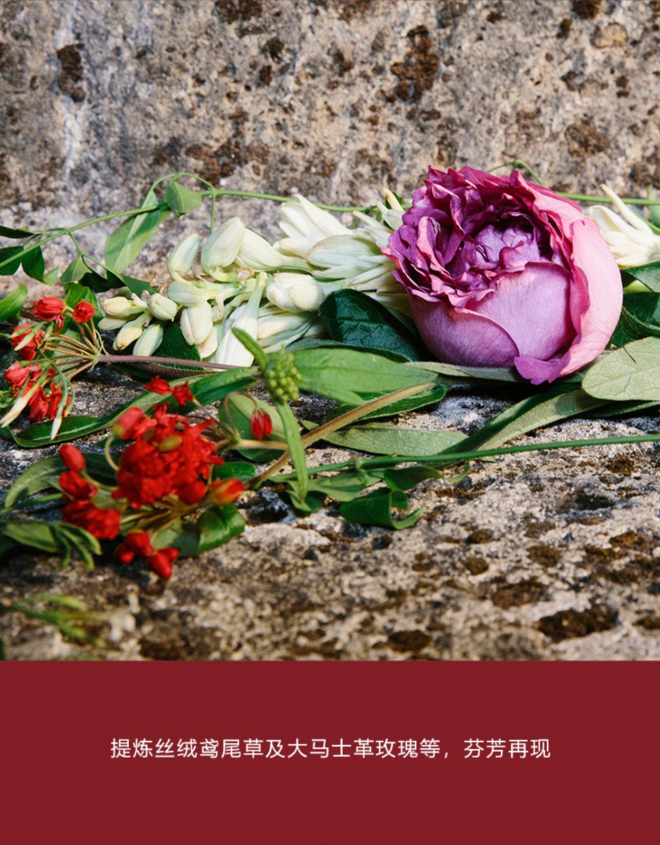 商品【原封正品】 Gucci|Gucci 古驰 花悦馥意女士香水BLOOM玫瑰茉莉香调 100ml 馥郁香调 充满活力,价格¥803,第5张图片详细描述
