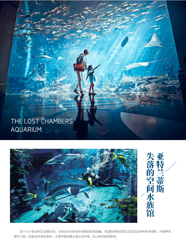 商品[国内直发] Beyond Global Travel|三亚直升机大赏 珠海出发 畅玩海南 双飞5日游 全程0购物 国庆节热门线路 下单后由别样微信客服对接,价格¥3002,第10张图片详细描述