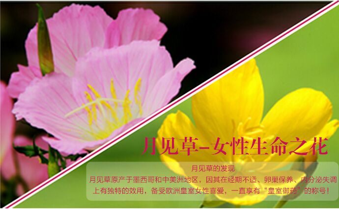 商品Swisse|澳洲Swisse斯维诗 月见草胶囊 200粒*3 ,价格¥533,第3张图片详细描述
