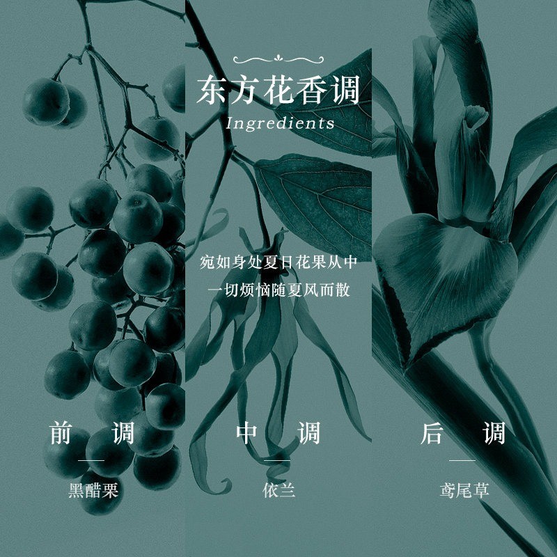 商品Tiffany & Co.|Tiffany蒂芙尼倾心钻石女士香水30-50-75ml EDT淡香水 ,价格¥394,第7张图片详细描述