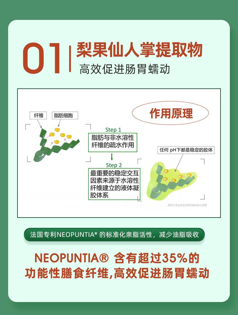 商品Biowell|【国内现货】Biowell润肠片便秘神器排宿便膳食纤维清肠片润肠道90粒,价格¥369,第4张图片详细描述