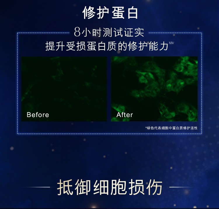 商品Estée Lauder|雅诗兰黛小棕瓶精华液面部维稳修护抗皱滋润50ml/100ml【��香港直邮】Advanced Night Repair Synchronized Multi-Recovery Complex,价格¥443,第10张图片详细描述
