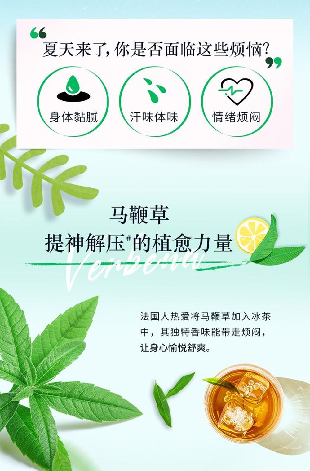 商品L'Occitane|欧舒丹清新马鞭草洗护套装 沐浴露250ml+身体乳250ml,价格¥261,第6张图片详细描述