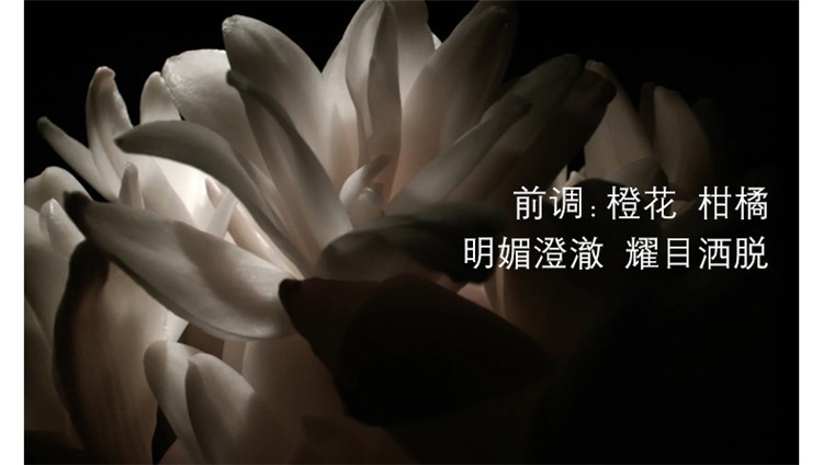 商品Yves Saint Laurent|YSL圣罗兰自由至上女士香水 EDP浓香水,价格¥458,第17张图片详细描述