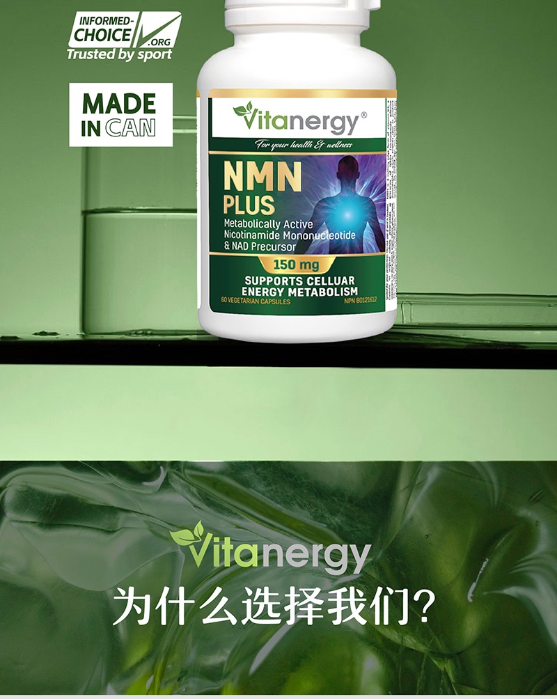 商品[国内直发] Vitanergy|加拿大Vitanergy维生能NMN9000烟酰胺单核苷酸PLUS 60粒/瓶 | Vitanergy NMN PLUS9000    150mg 60 Cap,价格¥1341,第8张图片详细描述
