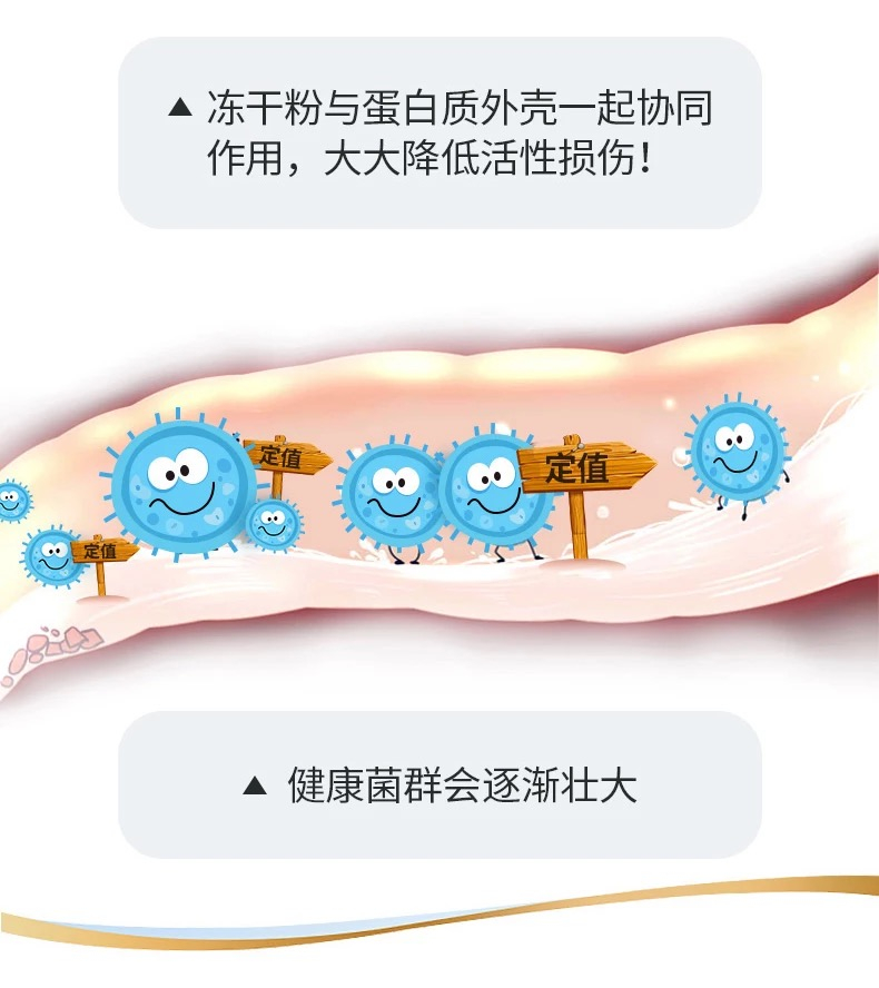 商品Digestive Advantage|益生菌片 日常补充 50粒,价格¥182,第3张图片详细描述