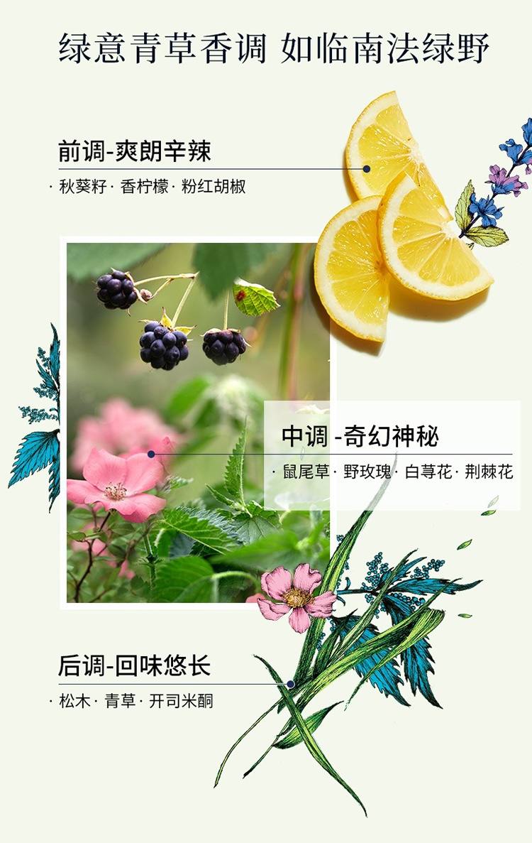 商品L'Occitane|L'occitane欧舒丹绿野奇境草本植物美肤乳250ml 滋润身体乳,价格¥189,第5张图片详细描述