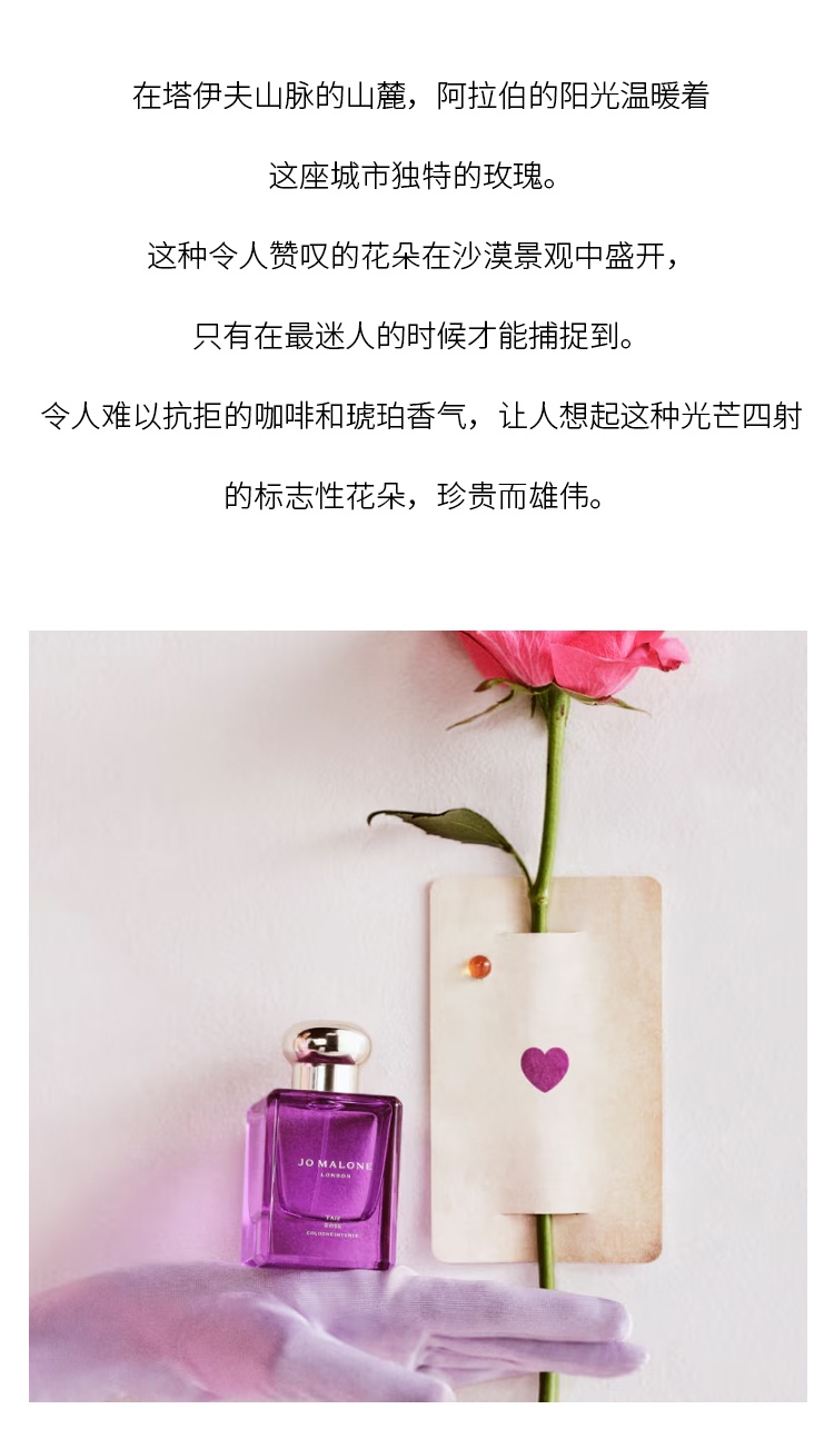 商品Jo Malone London|Jo malone祖玛珑馥郁典藏系列-塔伊夫玫瑰古龙水女香 50ml 花香东方调,价格¥1092,第3张图片详细描述