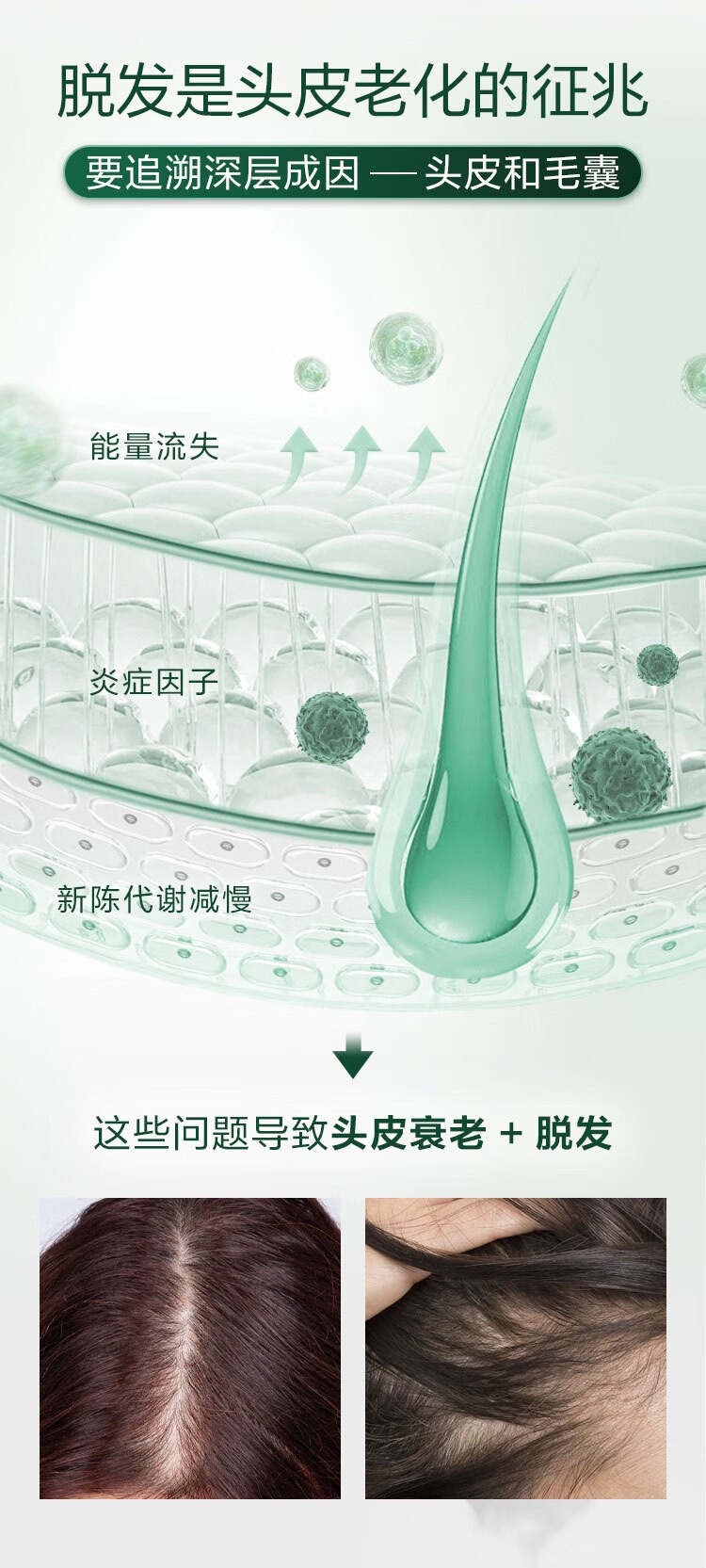 商品[国内直发] René Furterer|馥绿德雅三相固发育发精��华液 5.5ML*8,价格¥368,第5张图片详细描述
