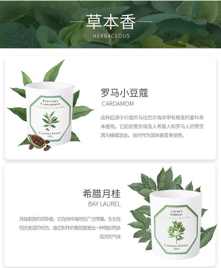 商品Carriere Freres|Carriere Freres法国植物学家全系列香薰蜡烛185g,价格¥417,第13张图片详细描述