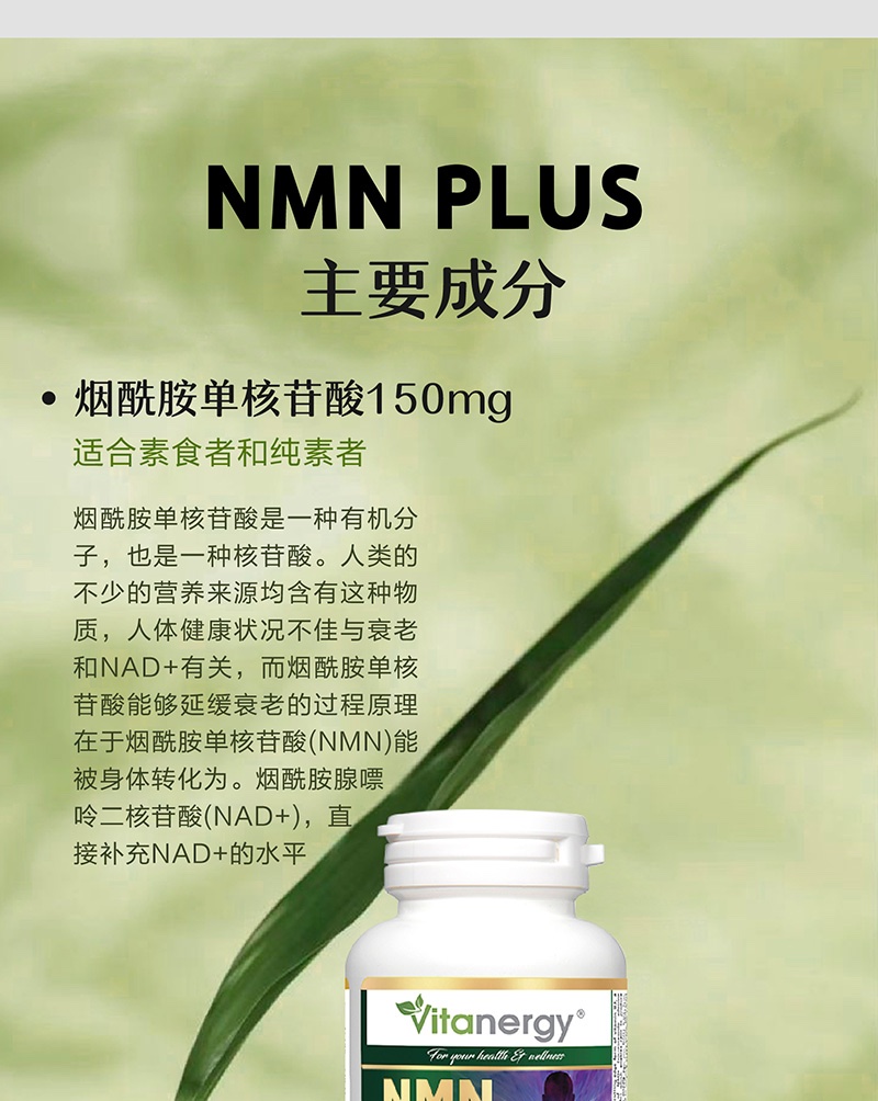 商品[国内直发] Vitanergy|加拿大Vitanergy维生能NMN9000烟酰胺单核苷酸PLUS 60粒/瓶 | Vitanergy NMN PLUS9000    150mg 60 Cap,价格¥1341,第10张图片详细描述