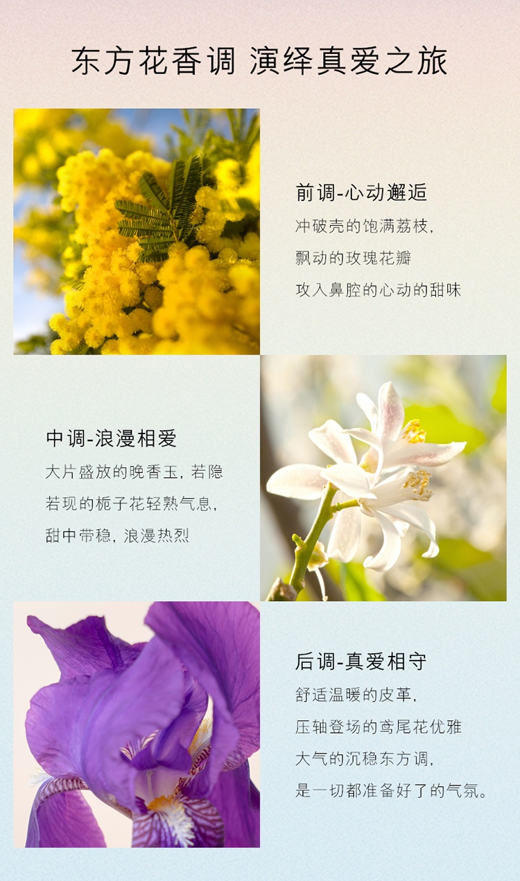 商品Estée Lauder|Estee Lauder雅诗兰黛真爱女士香水 EDP浓香水30-50-100ml,价格¥517,第3张图片详细描述