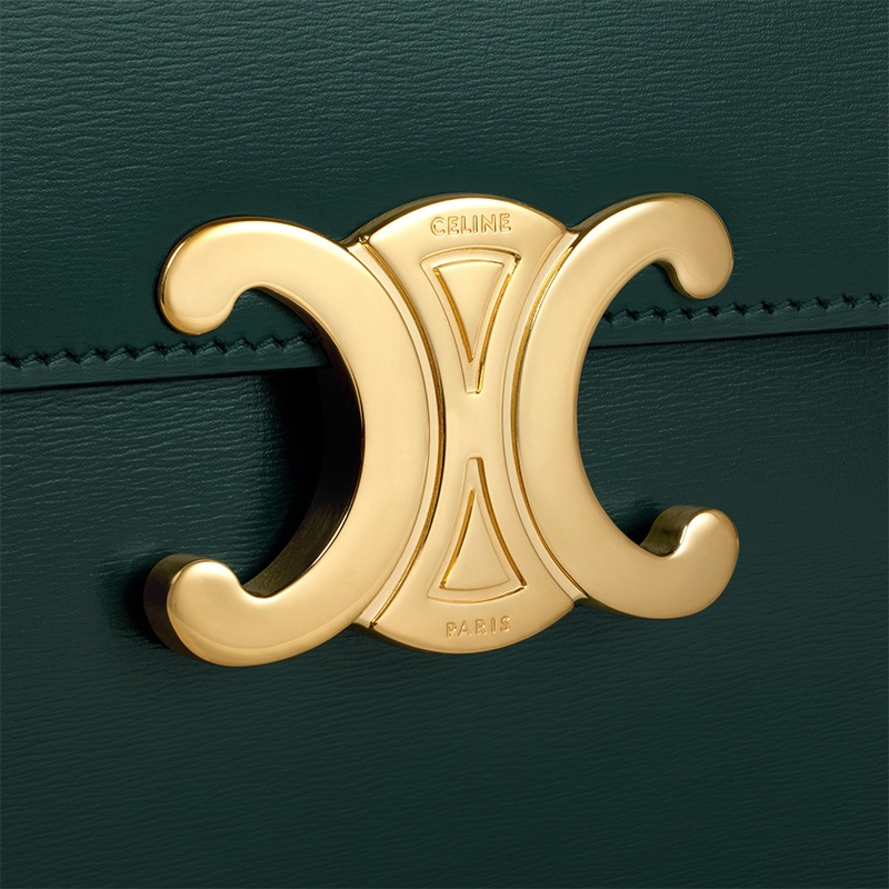 商品Celine|赛琳 23新款 COLLEGE女士中号色亮泽小牛皮金属扣链条斜挎包 113583BF4.31AN,价格¥23342,第6张图片详细描述