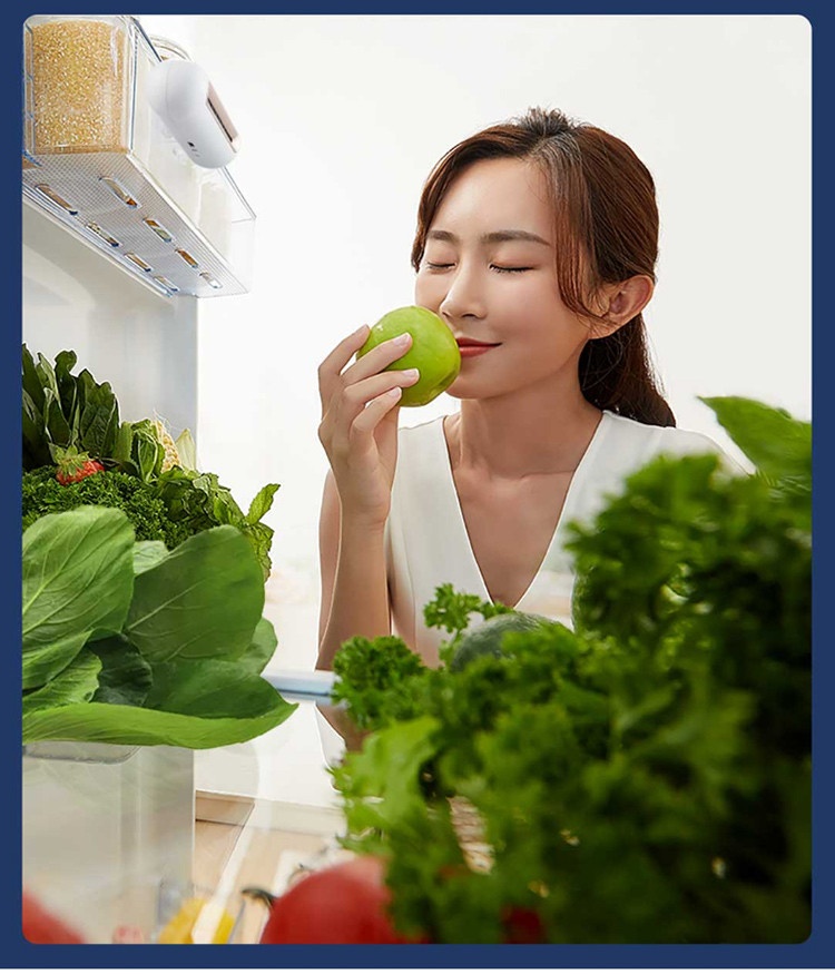 商品[国内直发] EraClean|EraClean冰箱除味消毒器冰箱专用去臭杀菌神器家用冰箱除味消毒机净化器 玫瑰金,价格¥143,第4张图片详细描述