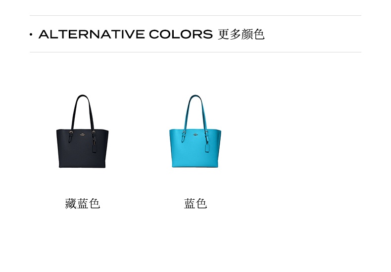 商品[国内直发] Coach|COACH 奥莱款Mollie系列女士卵石皮手提单肩托特包 1671IMR98,价格¥1803,第3张图片详细描述