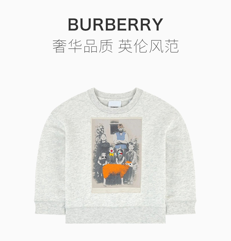 商品Burberry|BURBERRY 男童卫衣/帽衫 8026548,价格¥1446,第3张图片详细描述