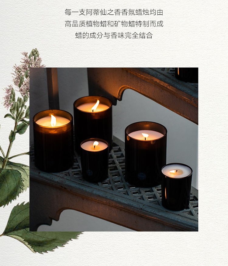 商品L'artisan Parfumeur|L'Artisan Parfumeur阿蒂仙之香香薰蜡烛250g 全系列,价格¥536,第15张图片详细描述