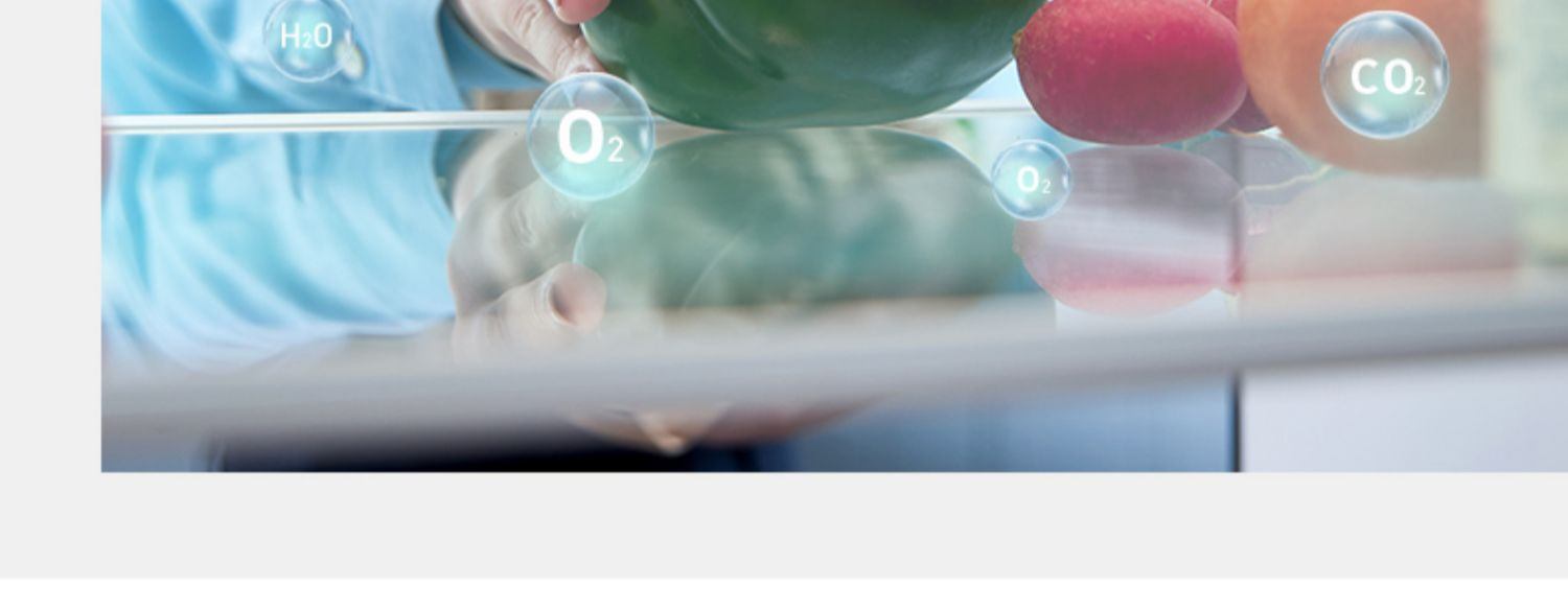 商品[国内直发] Morphy Richards|冰箱除味器MR2060臭氧杀菌保鲜防霉神器去异臭味空气净化器,价格¥192,第13张图片详细描述
