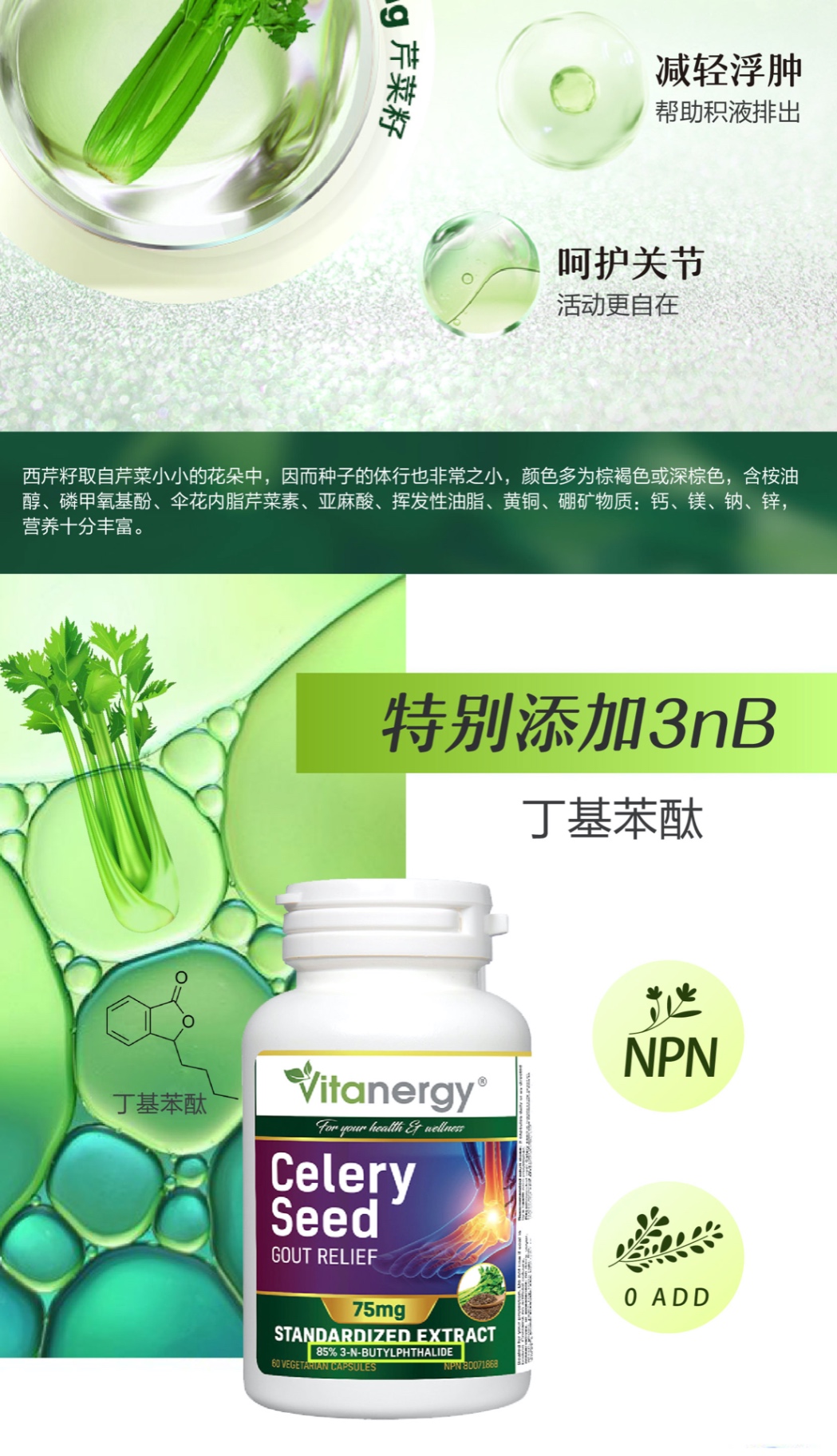 商品[国内直发] Vitanergy|【 2025年7月有效期】加拿大Vitanergy维生能芹菜籽精华150粒/瓶 缓解痛风 降低尿酸 | Celery Seed VCAP 150 ,价格¥96,第4张图片详细描述