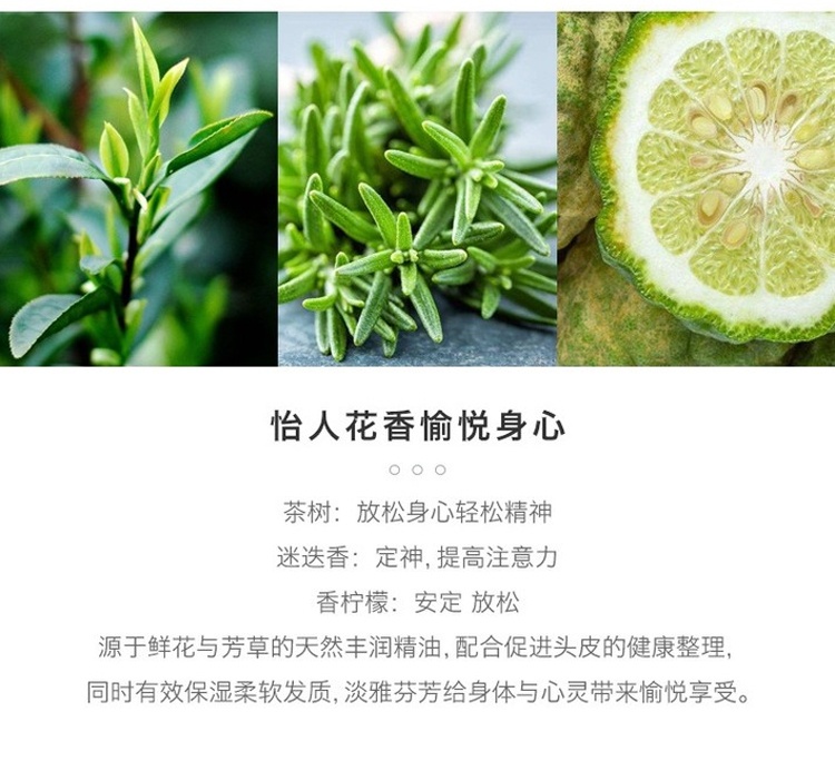 商品[国内直发] POLA|POLA宝丽 馥美修护抗糖化无硅洗护组合 蓬松型/柔顺型,价格¥169,第7张图片详细描述