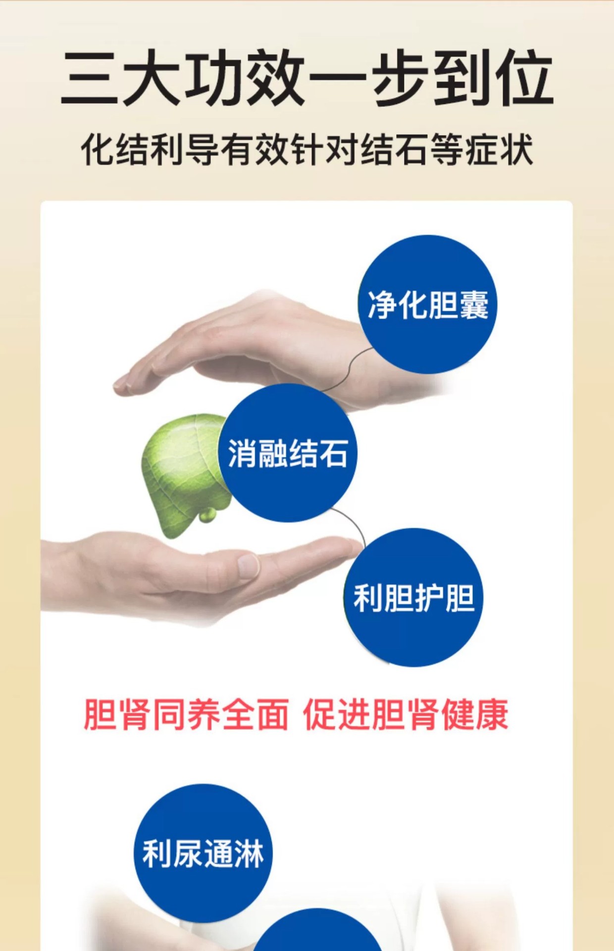商品&be|善清疗强力消石素 德国进口肾结石排石药养肝护肝碎石胶囊 60粒,价格¥183,第4张图片详细描述