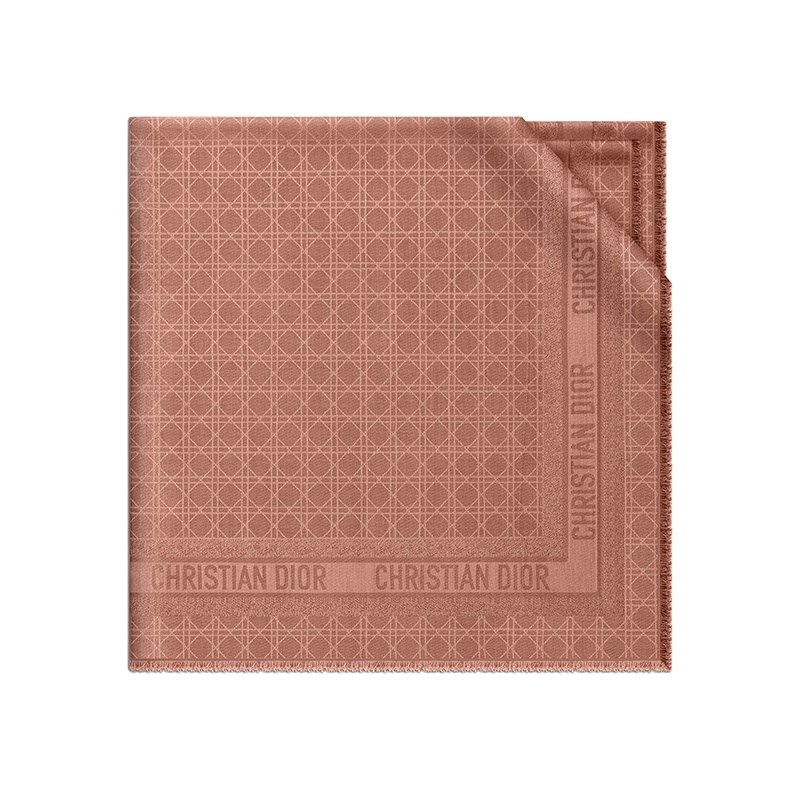 商品Dior|DIOR/迪奥 22新款 女士粉色羊毛真丝混纺绗缝刺绣CD标志印花丝巾围巾披肩,价格¥5717,第3张图片详细描述