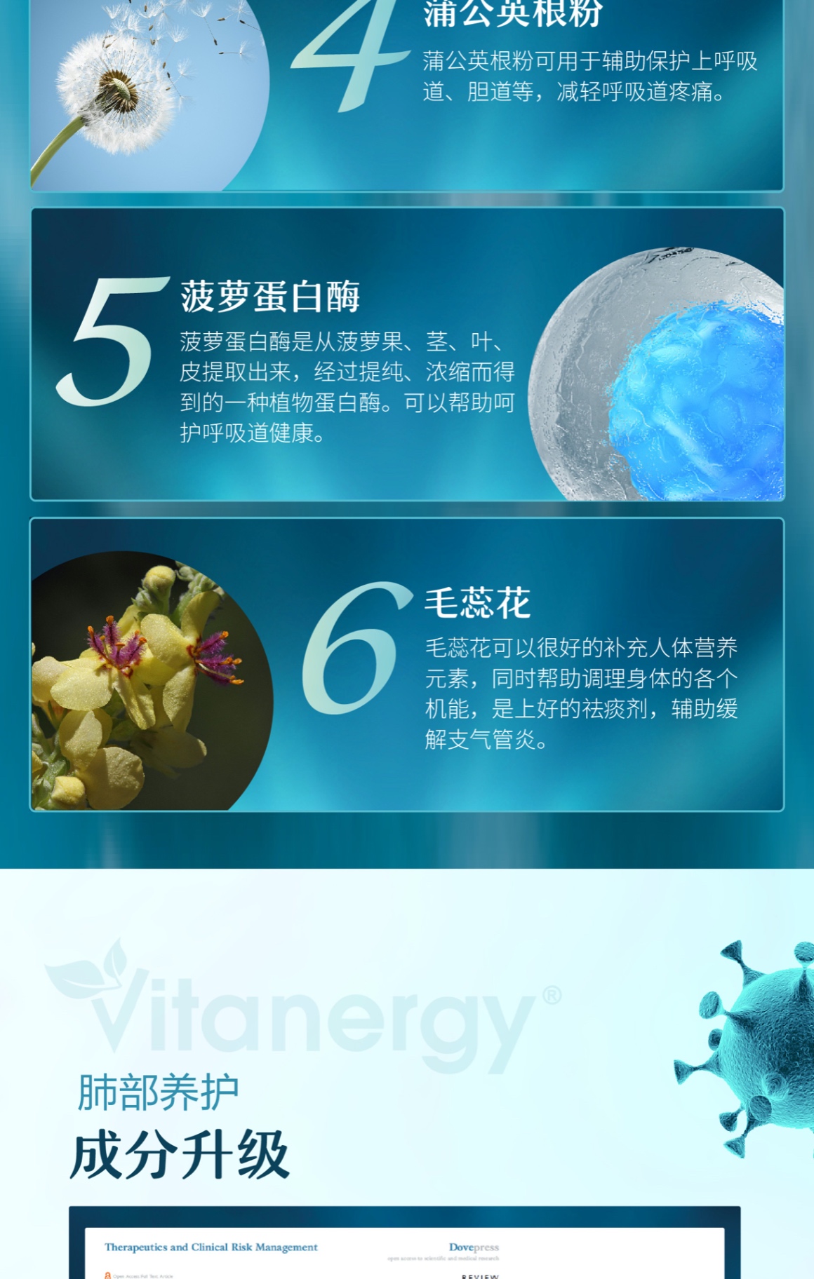 商品[国内直发] Vitanergy|【2025年1月到期】加拿大Vitanergy维生能清肺片 清肺止咳 化痰疏通 缓解呼吸道肺部问题 90粒 | Lung Support,价格¥59,第8张图片详细描述