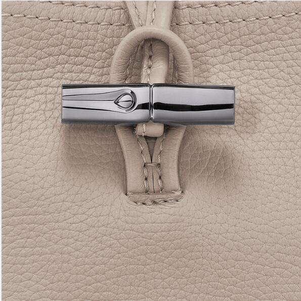 商品[国内直发] Longchamp|珑骧女包搭扣开合单肩斜挎零钱包10207 968,价格¥2102,第4张图片详细描述