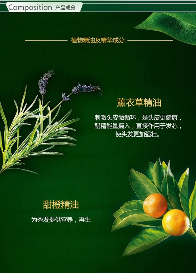 商品René Furterer|Rene Furterer馥绿德雅固发育发三相精华液8x5.5ml,价格¥432,第9张图片详细描述