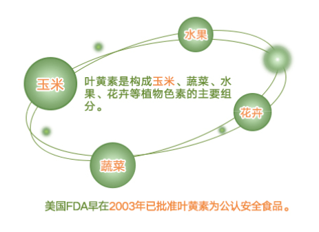 商品GNC|北欧蓝莓叶黄素复合胶囊,价格¥247,第1张图片详细描述