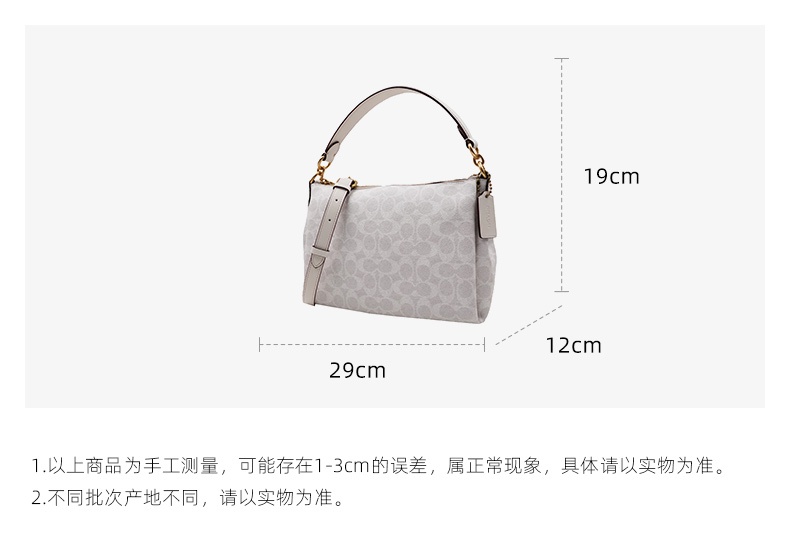 商品[国内直发] Coach|COACH 迷你女士PVC配皮单肩斜挎手提包 93847B4R7B,价格¥1892,第2张图片详细描述