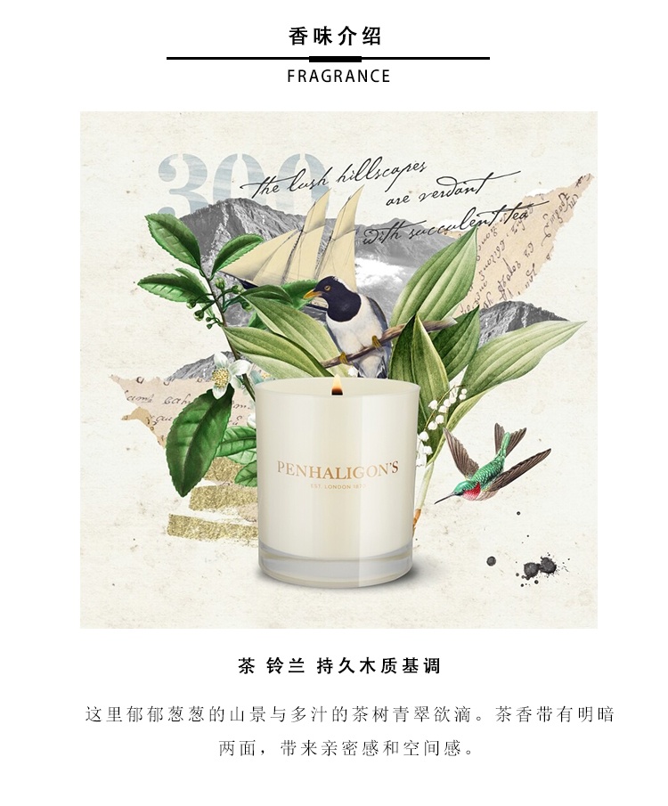 商品Penhaligon's|Penhaligon潘海利根香薰蜡烛全系列65-200-650g 200g马杜罗叶MADURO,价格¥537,第10张图片详细描述