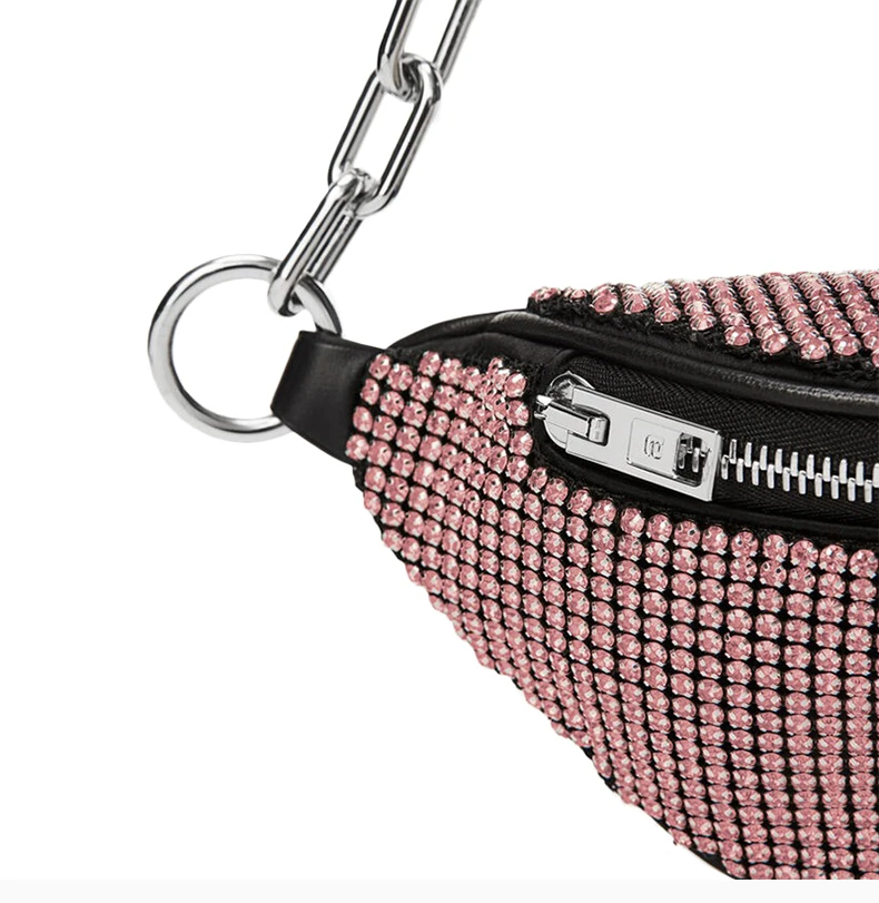 商品[国内直发] Alexander Wang|ALEXANDER WANG 女士粉色腰包 20121F13M-671,价格¥5293,第8张图片详细描述