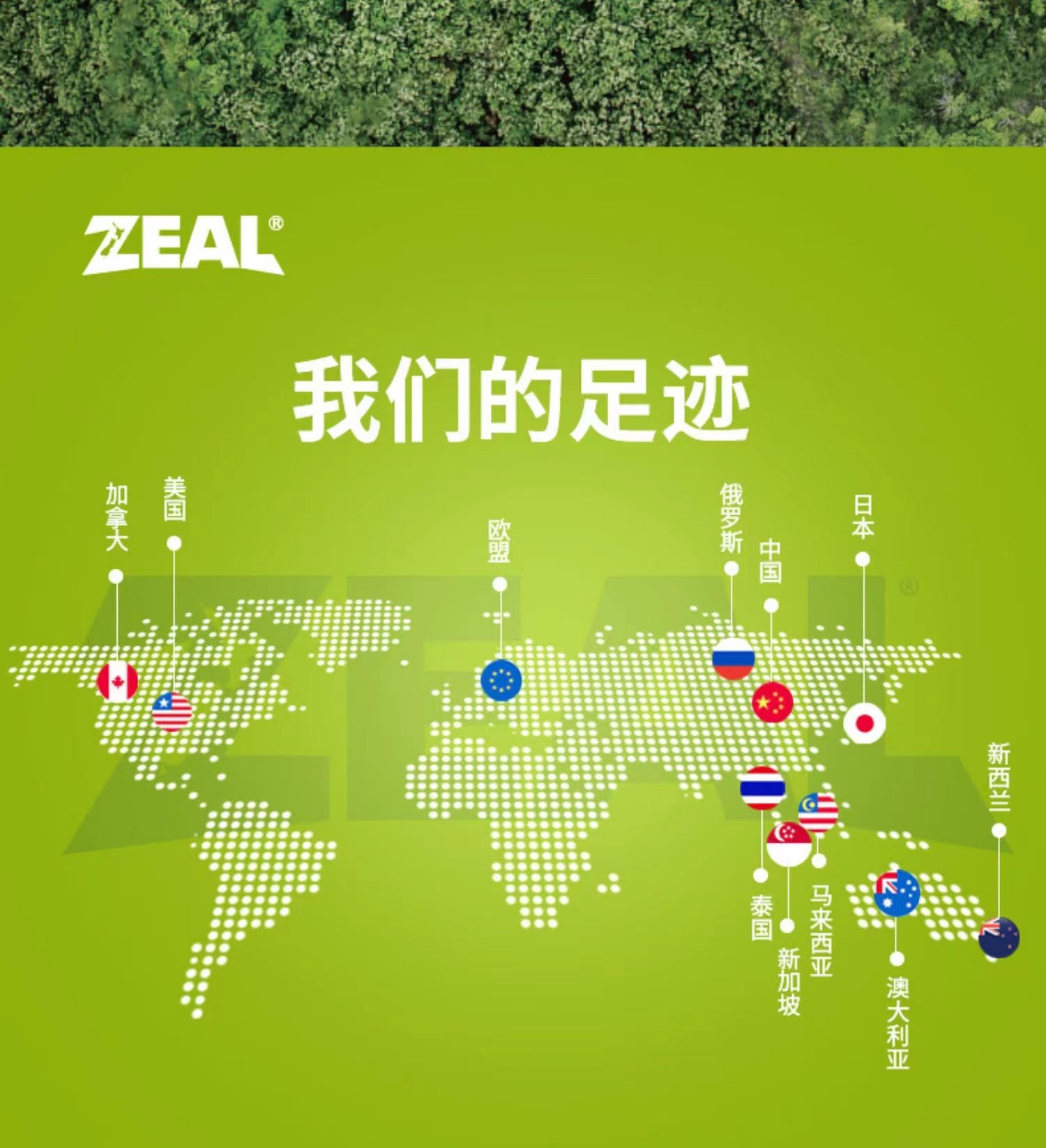 商品[国内直发] Zeal|新西兰全进口风干小牛蹄壳（犬用）150g,价格¥86,第33张图片详细描述